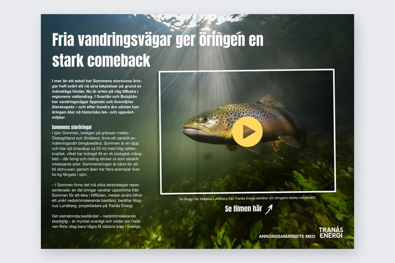 Sponsrat innehåll – Arnham Media i Göteborg